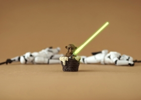 Wallpapers Of Tribal Juju 56