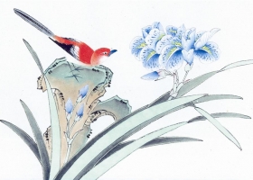 ภาพวาดภู่กันจีน สวยงามมาก ชุดนกกับดอกไม้ 3