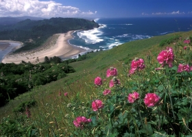 Impressive Nature Wallpapers 2