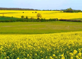 Full HD  Wallpapers 1