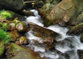 ภาพธรรมชาติ-น่าสะสม 5