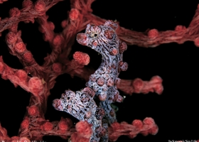 National Geographic Wallpapers Collection 2005 -3