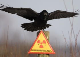 Mixers HQ Wallpapers 78