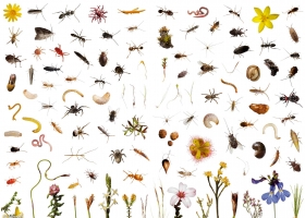 National Geographic Collection WallPapers 53