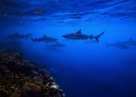 ภาพธรรมชาติอันงดงาม