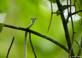 National Geographic Wallpapers Collection 2008 -11