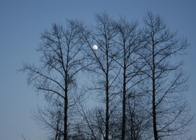 ภาพธรรมชาติ-น่าสะสม 27