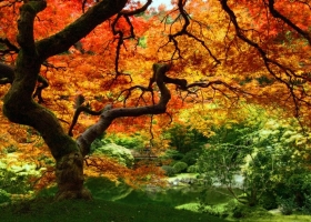 Mixers HQ Wallpapers 85