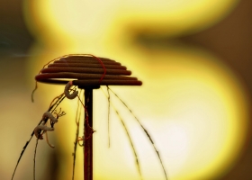 Traditional Great Chinese Views Wide Wallpapers 2