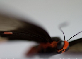 National Geographic  Collection WallPapers  41