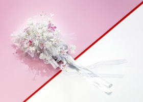 Beautiful Flowers  Wallpapers 58