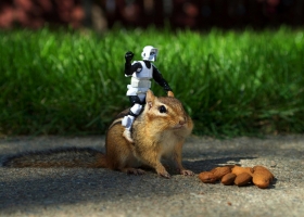 Wallpapers Of Tribal Juju 34