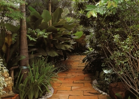 สวนสวยสองอารมณ์