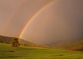 Computer Desktop Wallpapers Collection 1