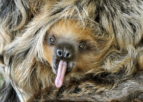 Best Photos From The Natural World 3