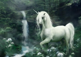 Magic Animals HQ Wallpapers 1