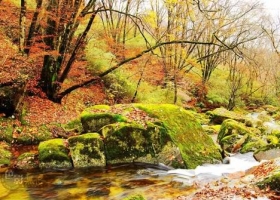 ธรรมชาติสร้างสรรค์