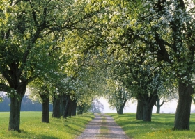 Impressive Nature Wallpapers 1