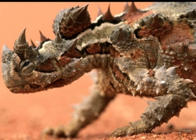 National Geographic Wallpapers Collection 2002 -2