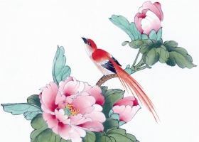 ภาพวาดภู่กันจีน สวยงามมาก ชุดนกกับดอกไม้ 2