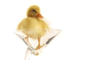 The Best Mixed Wallpapers Pack 2