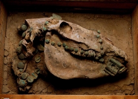 National Geographic  Collection WallPapers  45