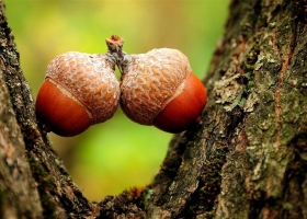 SuperPack Beautiful Nature HD Wallpapers 3