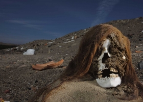 National Geographic  Collection WallPapers 15