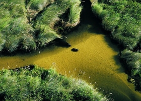 นั่งเฮลิคอปเตอร์ ส่องแอฟริกา 1