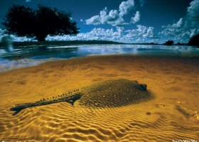 National Geographic Wallpapers Collection 2005 -2