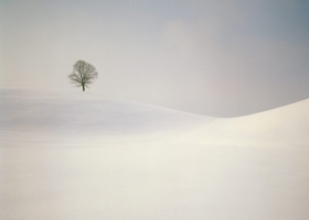 Amazing Snow and Arctic Landscapes Wallpapers 8