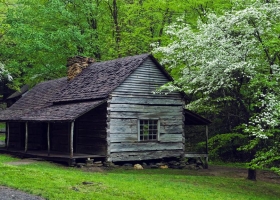 Incredible Nature Full HD Wallpapers 2