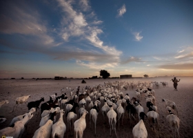 National Geography Wallpapers 2011- 1