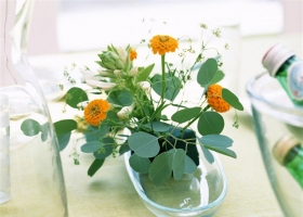 Dinner Art  HQ Wallpapers 2