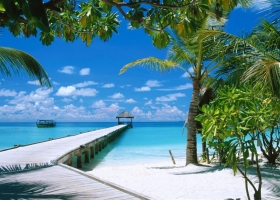 Computer Desktop Wallpapers Collection 10