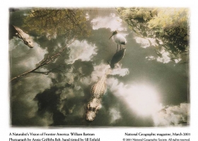 National Geographic Wallpapers Collection 2001 -4