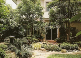 จัดสวนบ้านเป็นสวนป่าธรรมชาติ