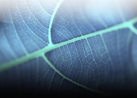 The Best Mixed Wallpapers Pack 3