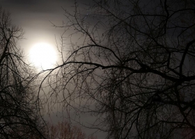 ภาพธรรมชาติ-น่าสะสม 8