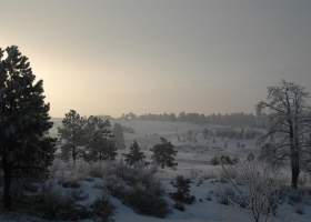 Wallpapers Of Tribal Juju 84