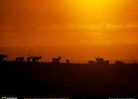 ภาพจาก National  Geographic 3