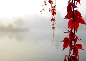 Wallpapers Of Tribal Juju 77