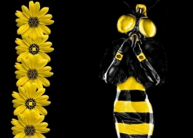 Amazing Set of Funny HD Wallpapers 1