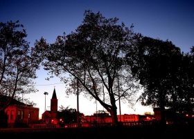 Wonderful Nature Wide Screen Wallpapers 4