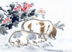 ภาพวาดภู่กันจีน สวยงามมาก ชุด ปีนักษัตร