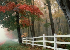 Fall Colors Scenes HQ Wallpaper 1