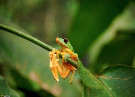 National Geographic  Collection WallPapers  42