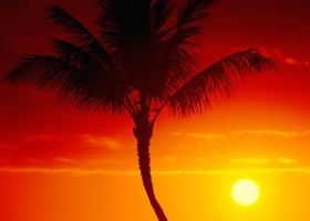 Sun and Sky Scenes HQ Wallpaper 2