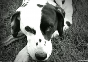 National Geographic  Collection WallPapers  20