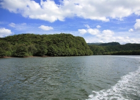 ภาพธรรมชาติ-น่าสะสม 6